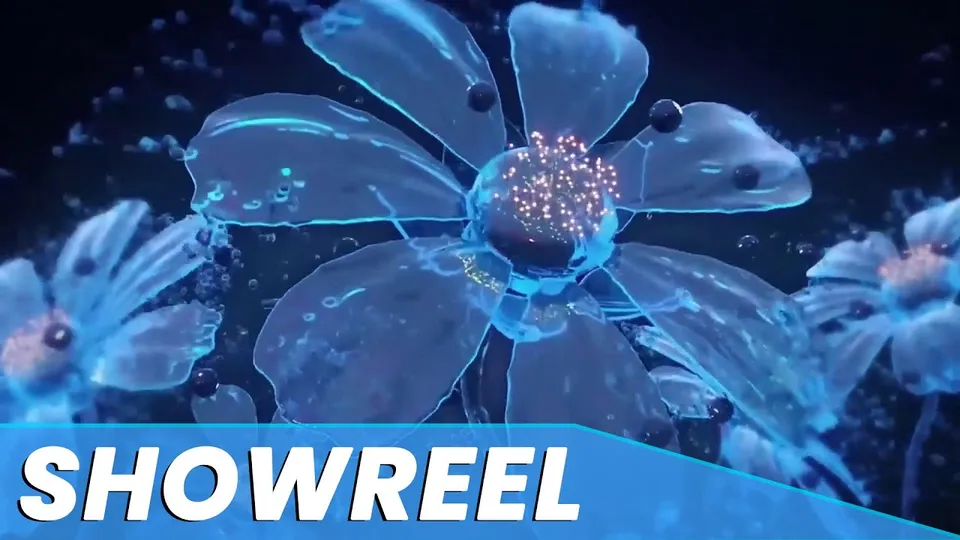 Motion Designing Reel — Showreel